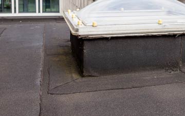 disadvantages of Birchmoor Green flat roofs