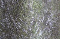 Birchmoor Green fibreglass roof work