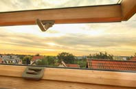 rated Birchmoor Green roof window companies